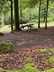 IMG_4966