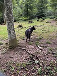 IMG_4968