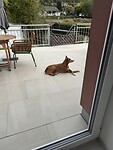 IMG_4979