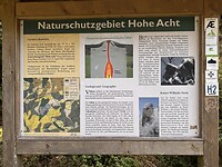 IMG_4982