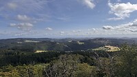 IMG_4984