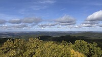 IMG_4988