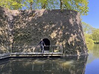 IMG_6124