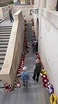 IMG_6137