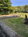 IMG_6141