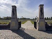 IMG_6145