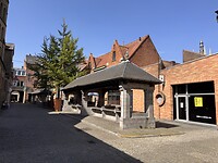 IMG_6177