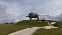 IMG_6393