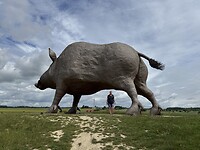 IMG_4190