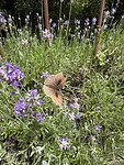 IMG_6416