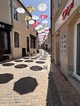 IMG_6493