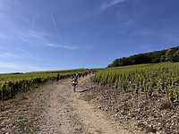 IMG_6502