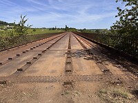IMG_6505