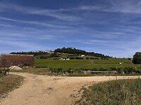 IMG_6506