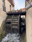 IMG_6654