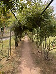 IMG_6683