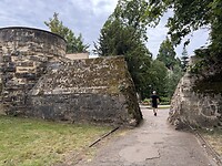 IMG_6685