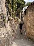 IMG_6703