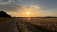 IMG_6741