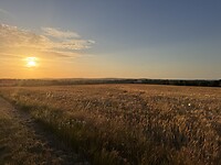 IMG_6744