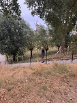 IMG_7152