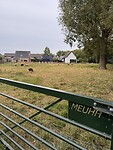 IMG_7155