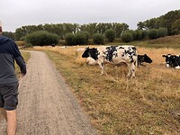 IMG_7221