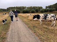 IMG_7222