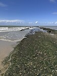 IMG_7292