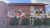 IMG_7364