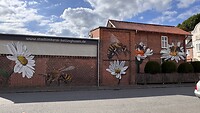 IMG_7365