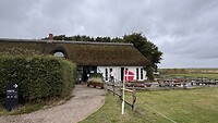 IMG_7402