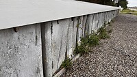 IMG_7403