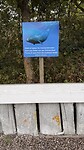 IMG_7404