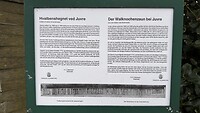 IMG_7406