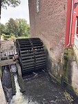 IMG_7410