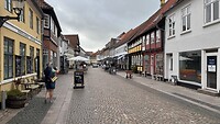 IMG_4651