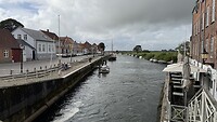 IMG_4655
