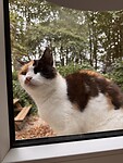 IMG_7437