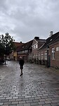 IMG_7462