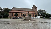 IMG_4707