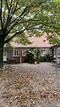 IMG_7491