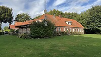 IMG_4712