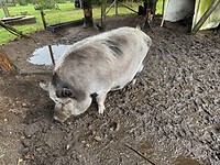 IMG_4715
