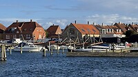 IMG_4781
