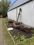 IMG_7591