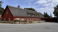 IMG_7707