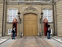 IMG_4910