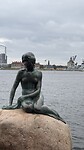IMG_7727