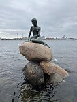 IMG_4916